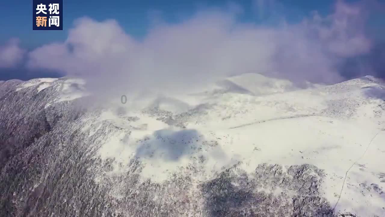 平塘平里河村汉雷香丰收