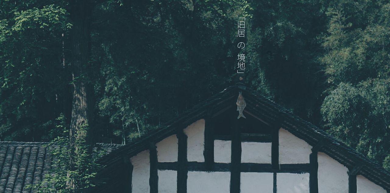 掘地挖宝