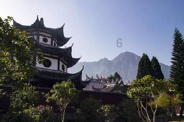 诱捕小浣熊