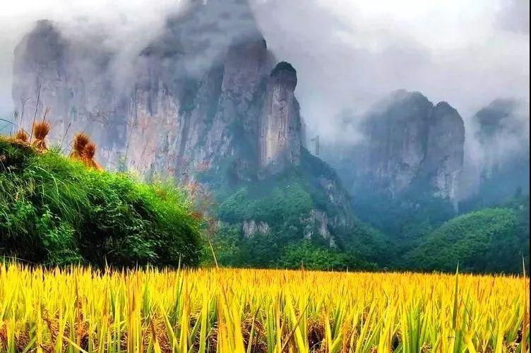幻想三国志5
