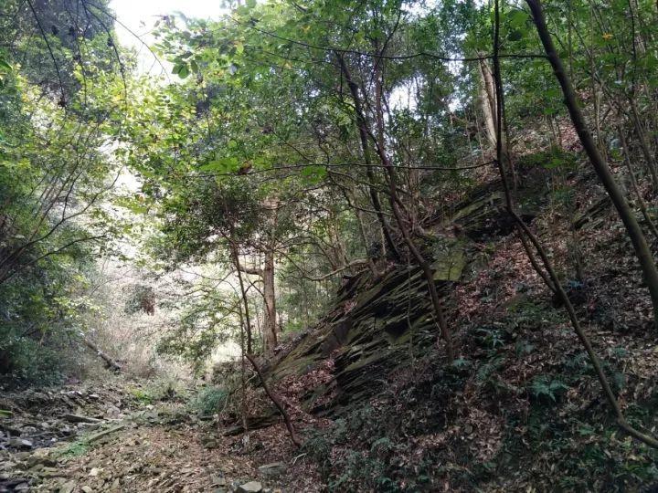 亚洲唯一永久中立国,汗血宝马圣地,水电费不用交、加满一箱油只要5元