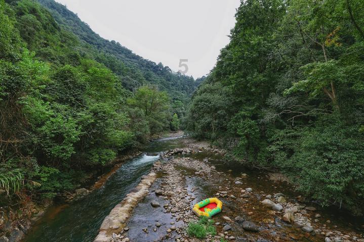 沙瑞金到底有多少干部任免权?冻结125名干部,否决祁同伟职务