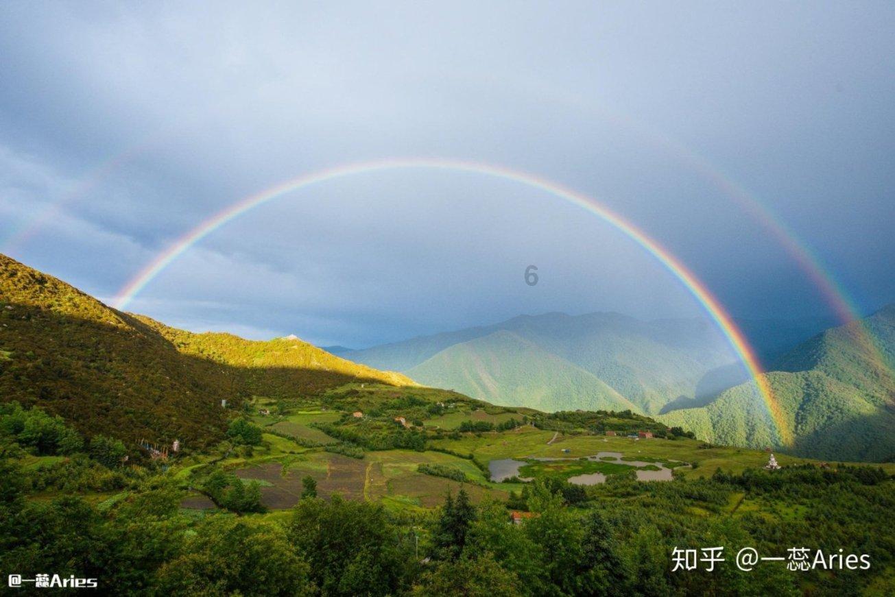 小猫钓鱼游戏龙王版有船