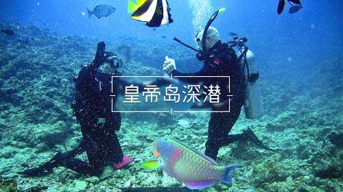深入了解2023无广告追剧,知识星球平台等你来探索