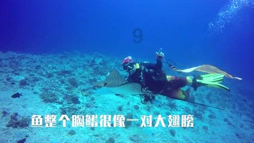 全民烧脑3去广告版