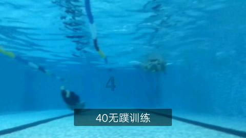舞熊森林逃生