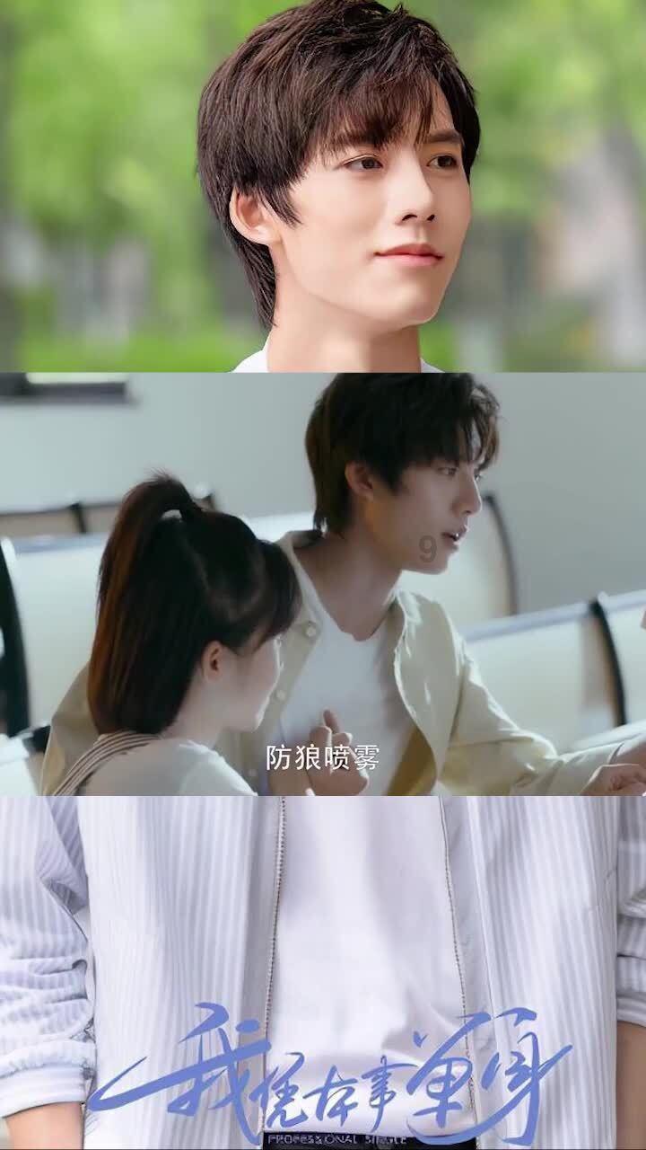 大理一公园养猫替小熊猫“顶岗”?园方澄清:正主藏树上了,猫负责抓老鼠