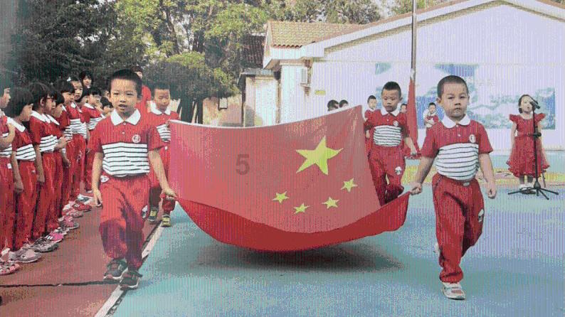 救援狗与猫