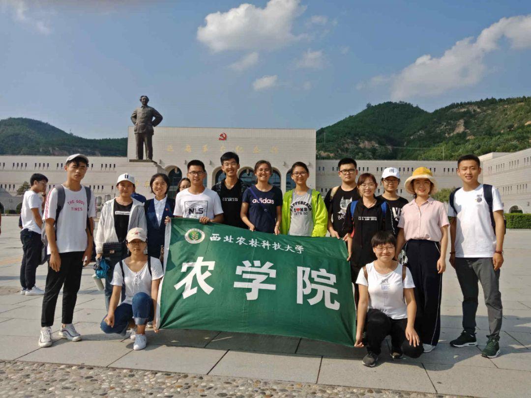 符石守护者