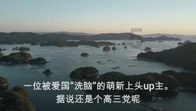 一张图让你戒猫356