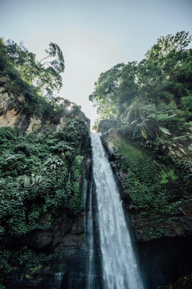 缤纷水果茶