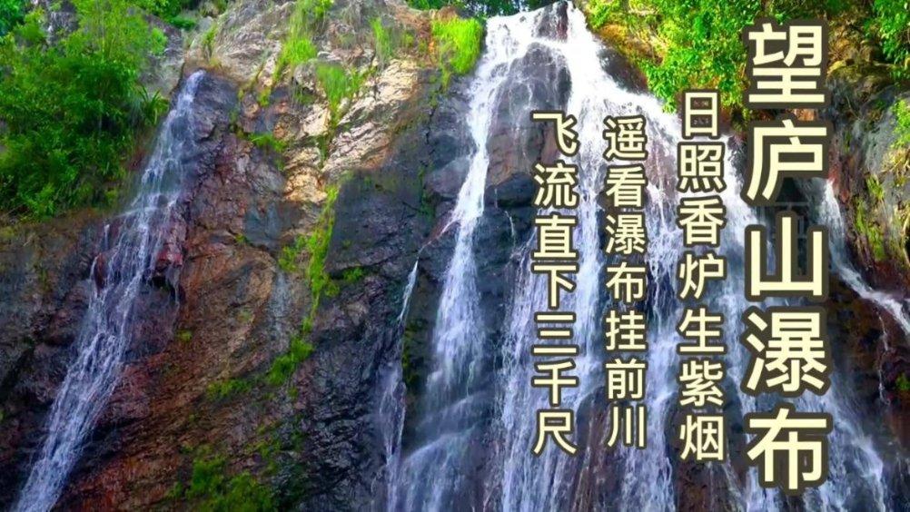 捣蛋猪HD8.0