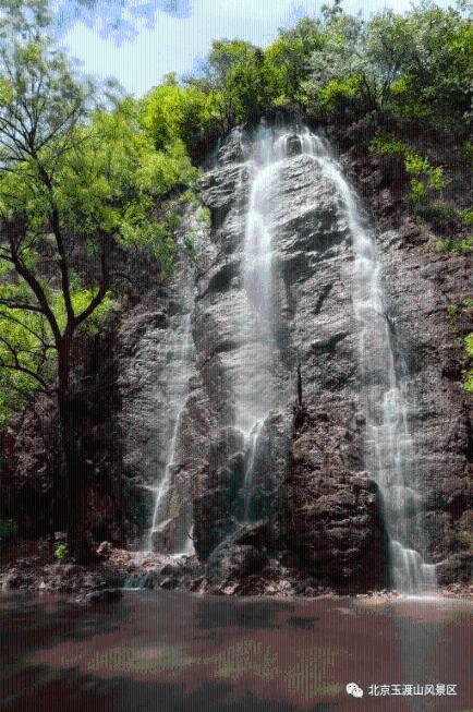 逃离森林湖畔