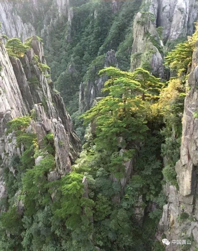 现代温泉屋逃脱2