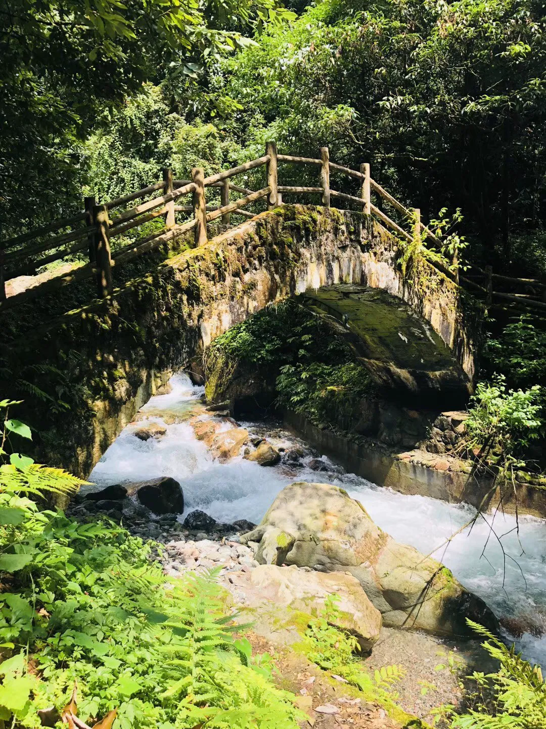 串联球队！黎伊扬9中3得到11分2板10助2断