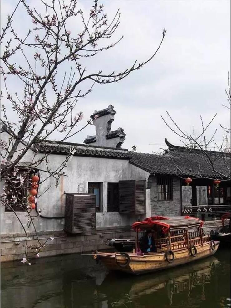 虫虫助手下载